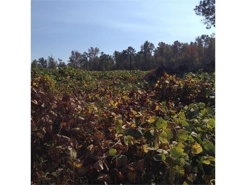 000 Villa Rica Highway - Photo 1