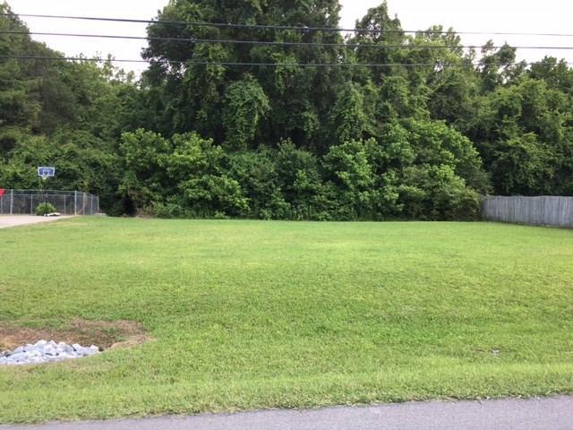 0 Taylorsville Road - Photo 1