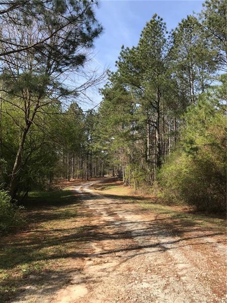 1500 Nunnally Farm Road - Photo 1