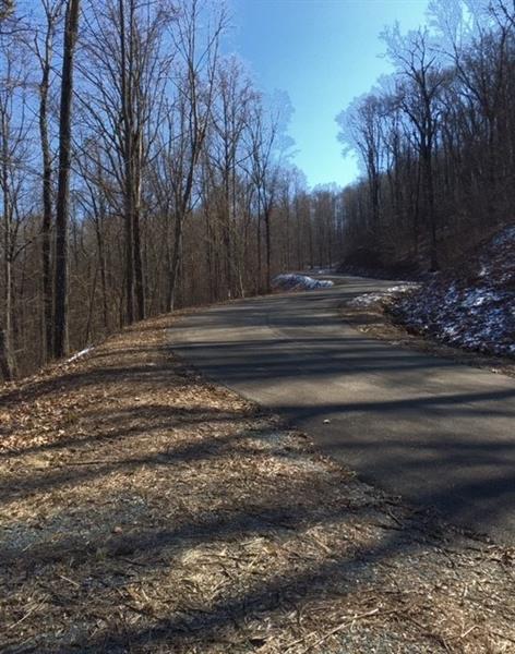 0 Mountain Falls Loop - Photo 1