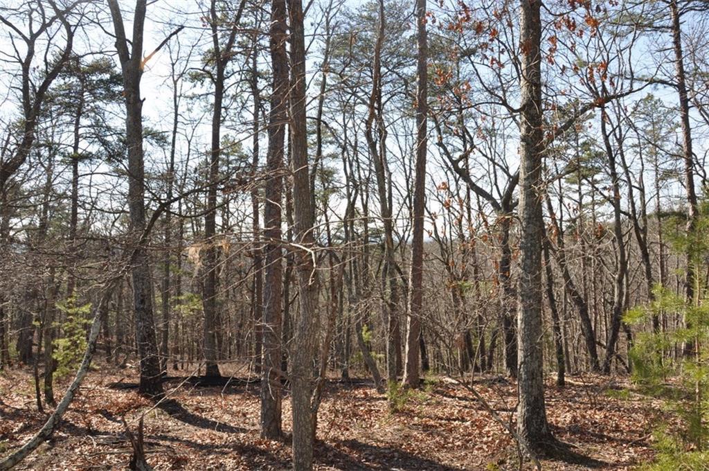 7320 Skyline Drive - Photo 1