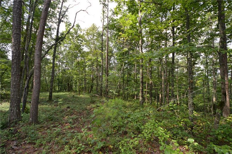 Lot 11 Meadowlands Drive - Photo 1