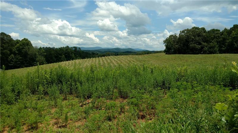 0 Mt. Pisgah Road - Photo 1