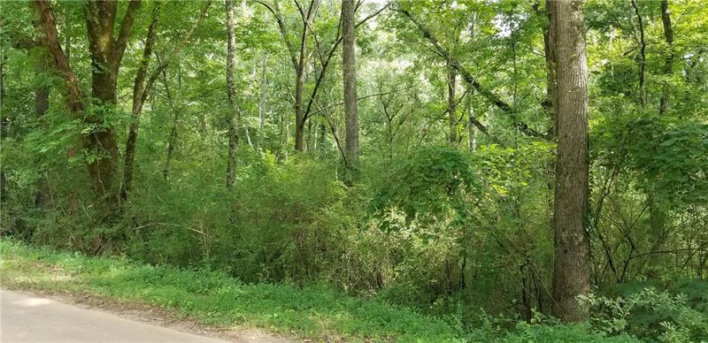 0 Adams Road - Photo 1