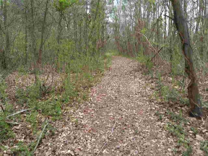 1067 Warren Morrow Road - Photo 1
