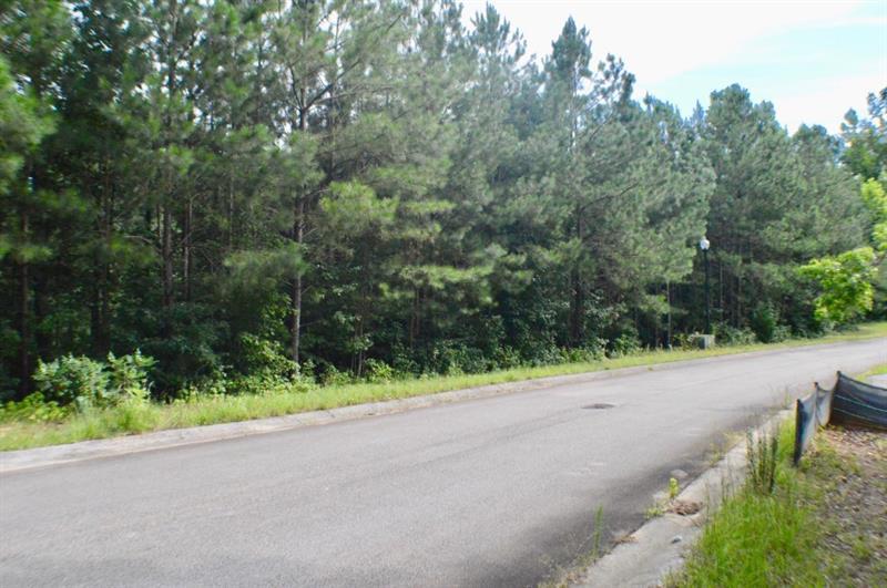933 Ole Mill Way - Photo 1