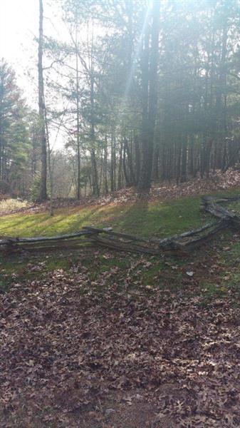1300 Mill Creek Trail - Photo 1