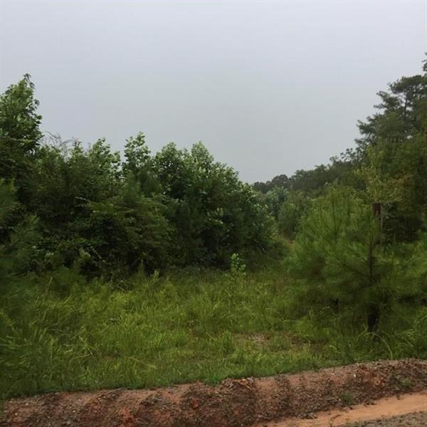 0 Faulkner Rd Tract 2 - Photo 1