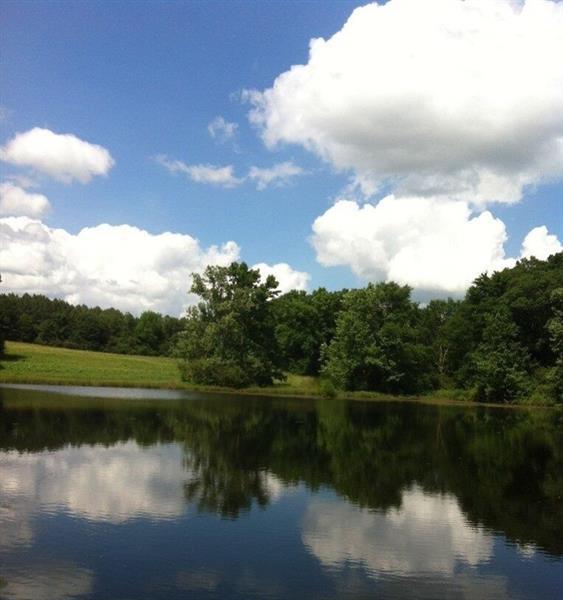 0 Middle Fork Lane - Photo 1