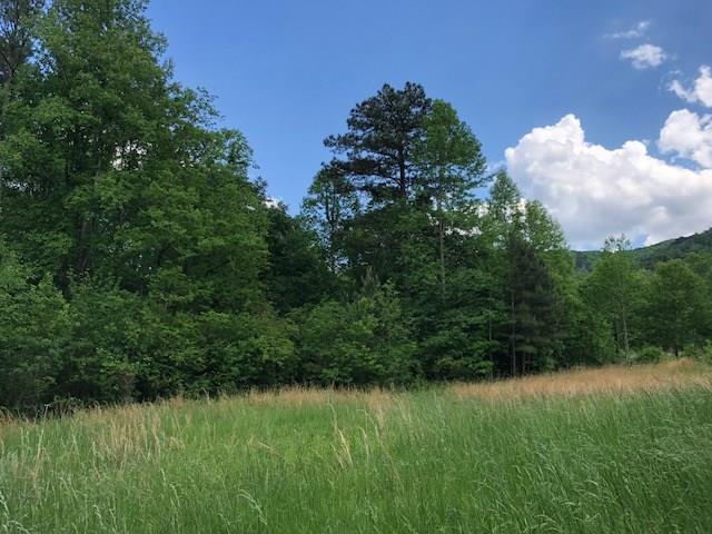 12137 Reinhardt College Parkway - Photo 1