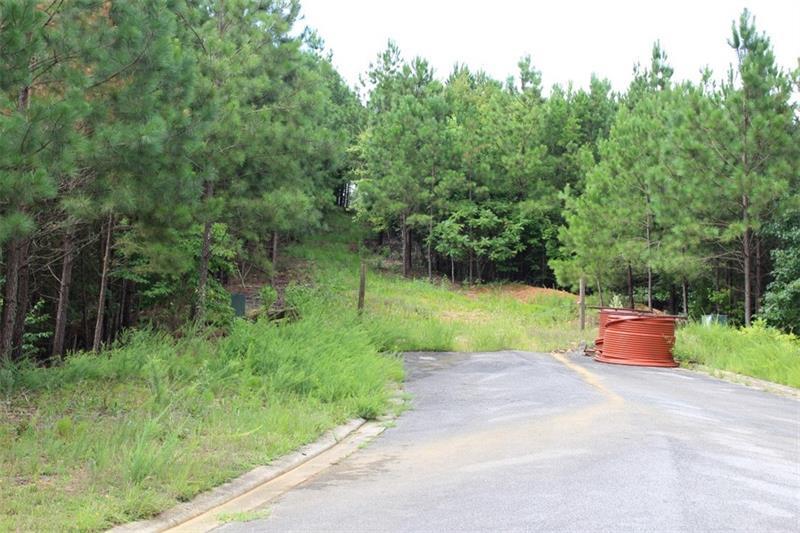 0 Mountain Crest Dr Drive - Photo 1