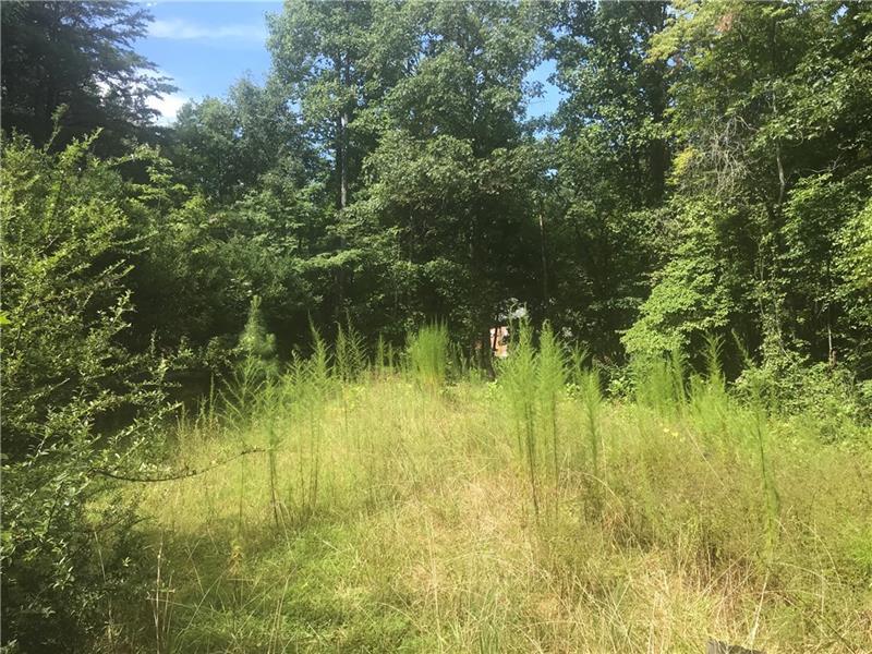 4016 Hidden Hollow Drive - Photo 1