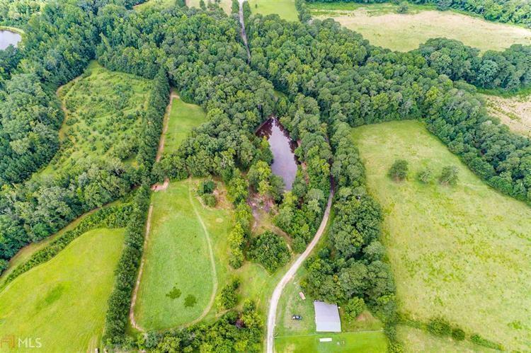 4002 Rocky Creek Trail - Photo 1