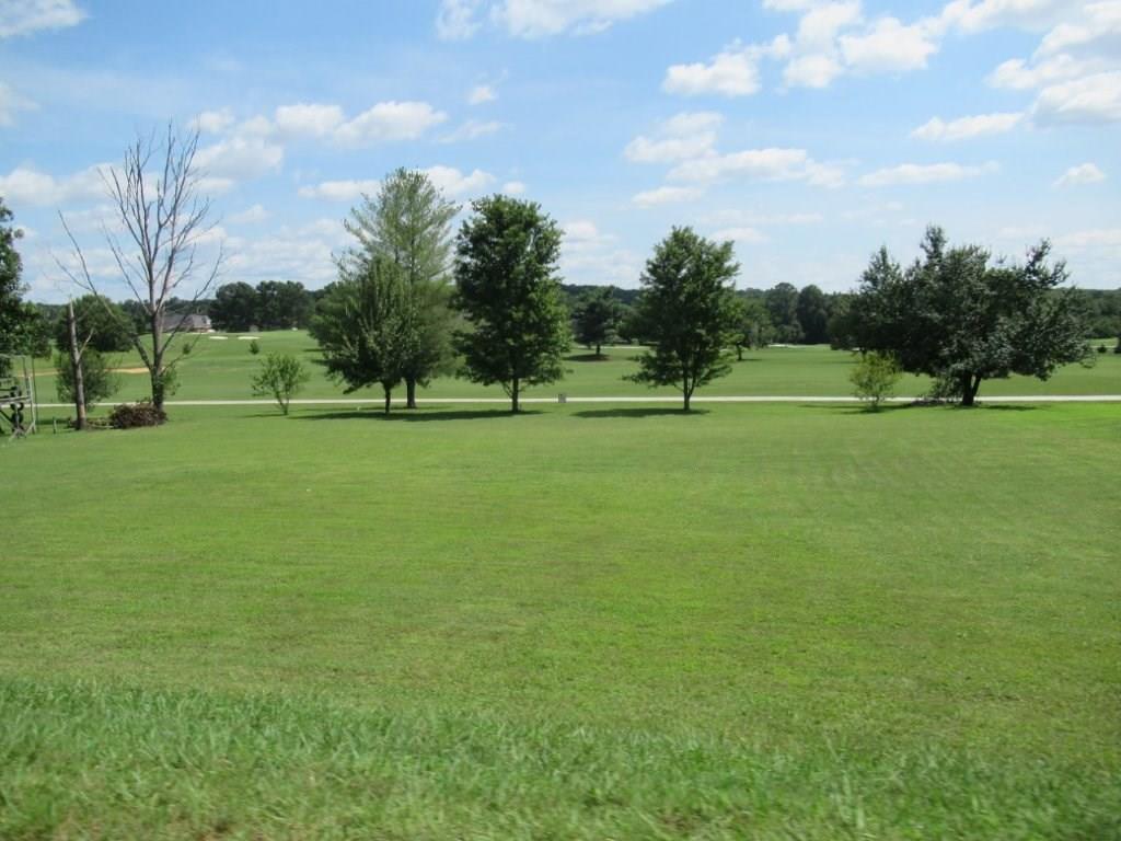 0 Adams Road - Photo 1
