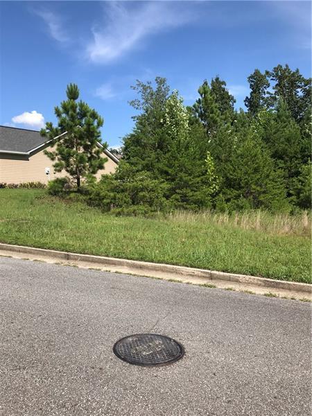 408 Deer Run Lane - Photo 1