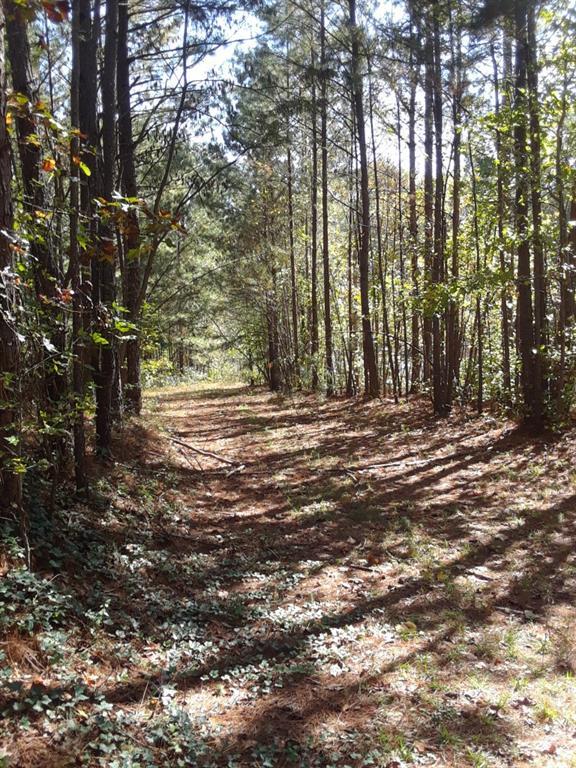 4771 Campbellton Road - Photo 1