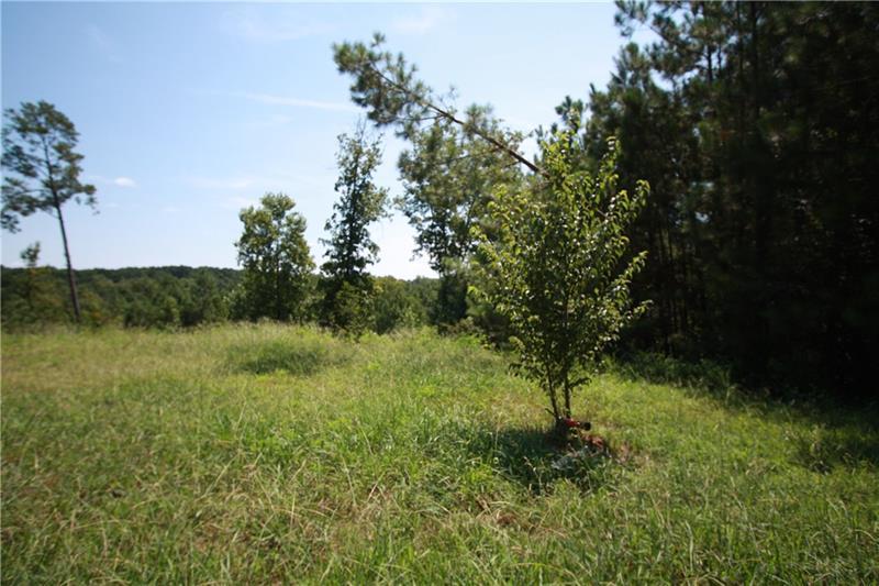 425 Willow Pointe Drive - Photo 1