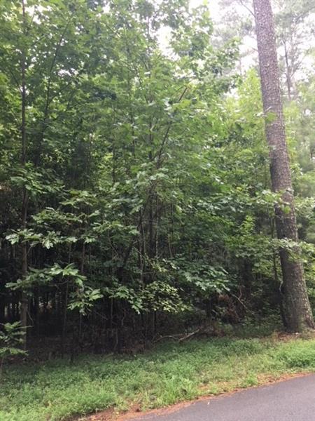 151 Hardage Lot 1 Drive - Photo 1