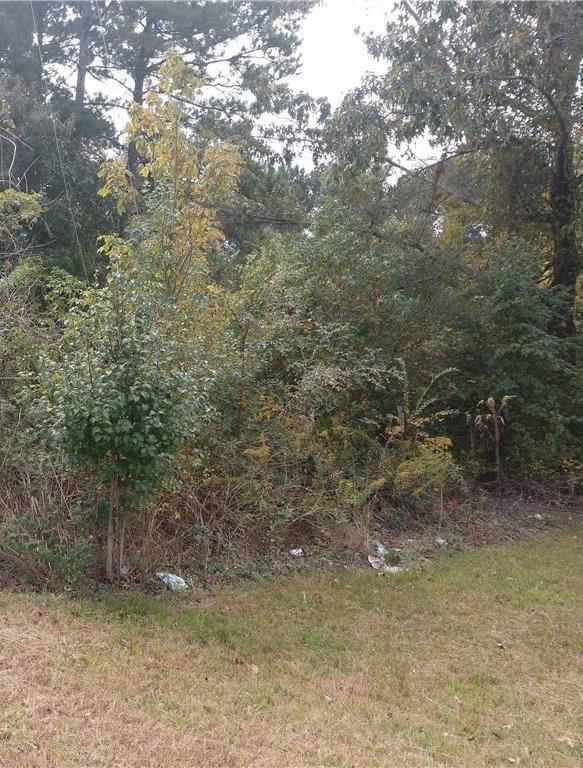 0 Mccannon Road - Photo 1