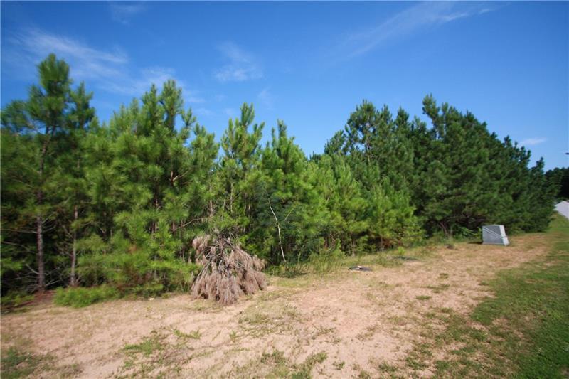 188 Cannon Ridge View - Photo 1
