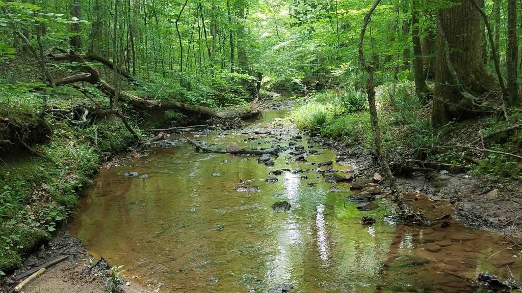 0 Iron Mountain Road - Photo 1