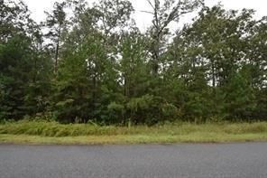 18 Branson Mill Drive - Photo 1