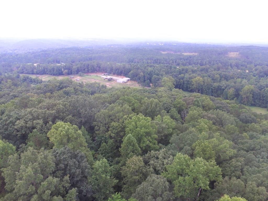 551 Cowart Mountain Trail - Photo 1