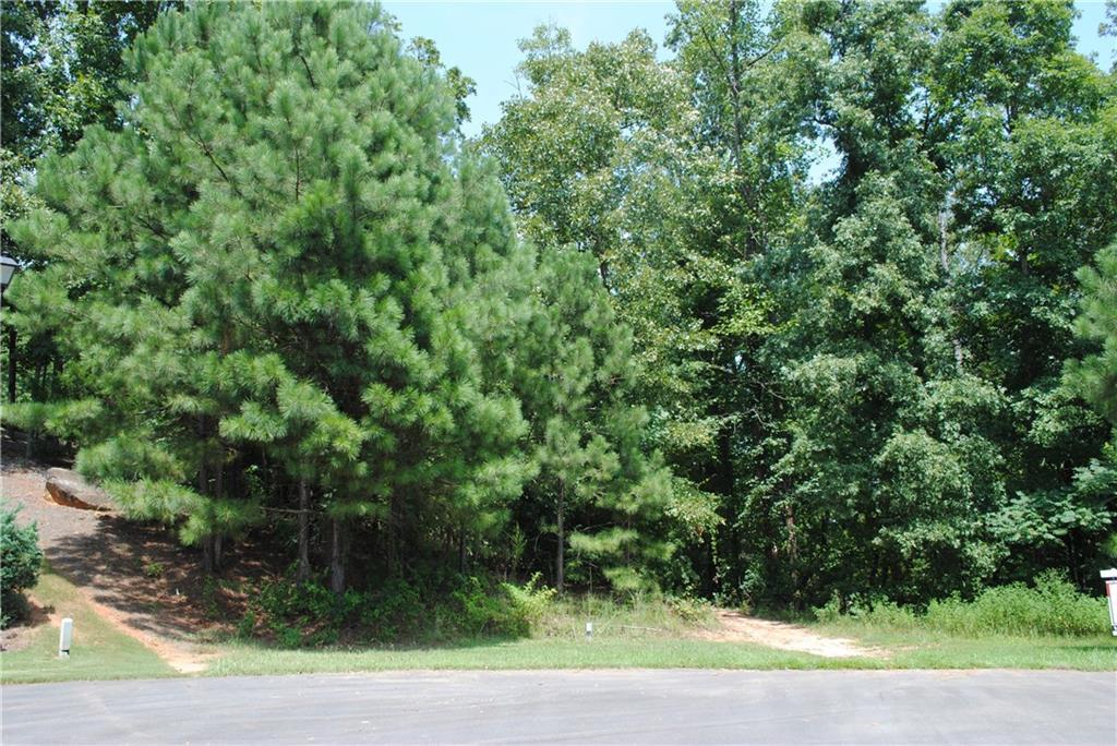 8555 Woodland Brooke Trail - Photo 1
