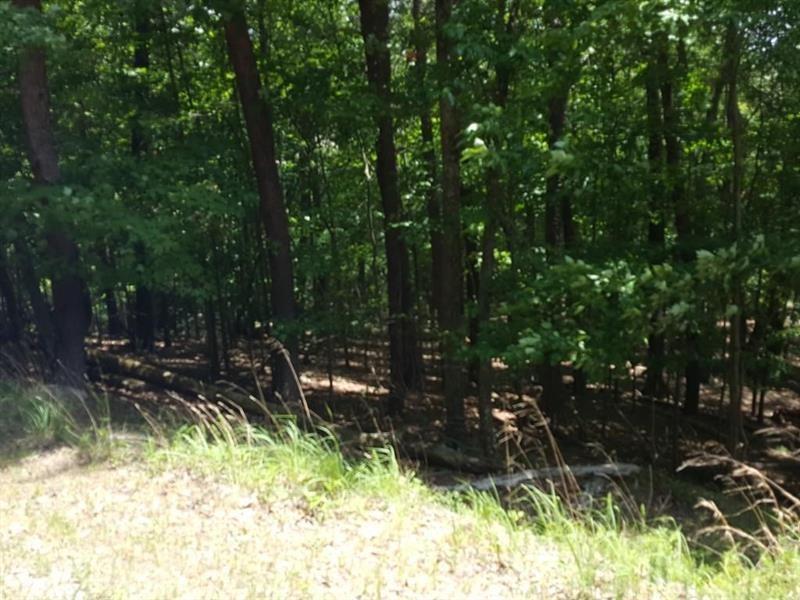 00 Indian Oak - Photo 1