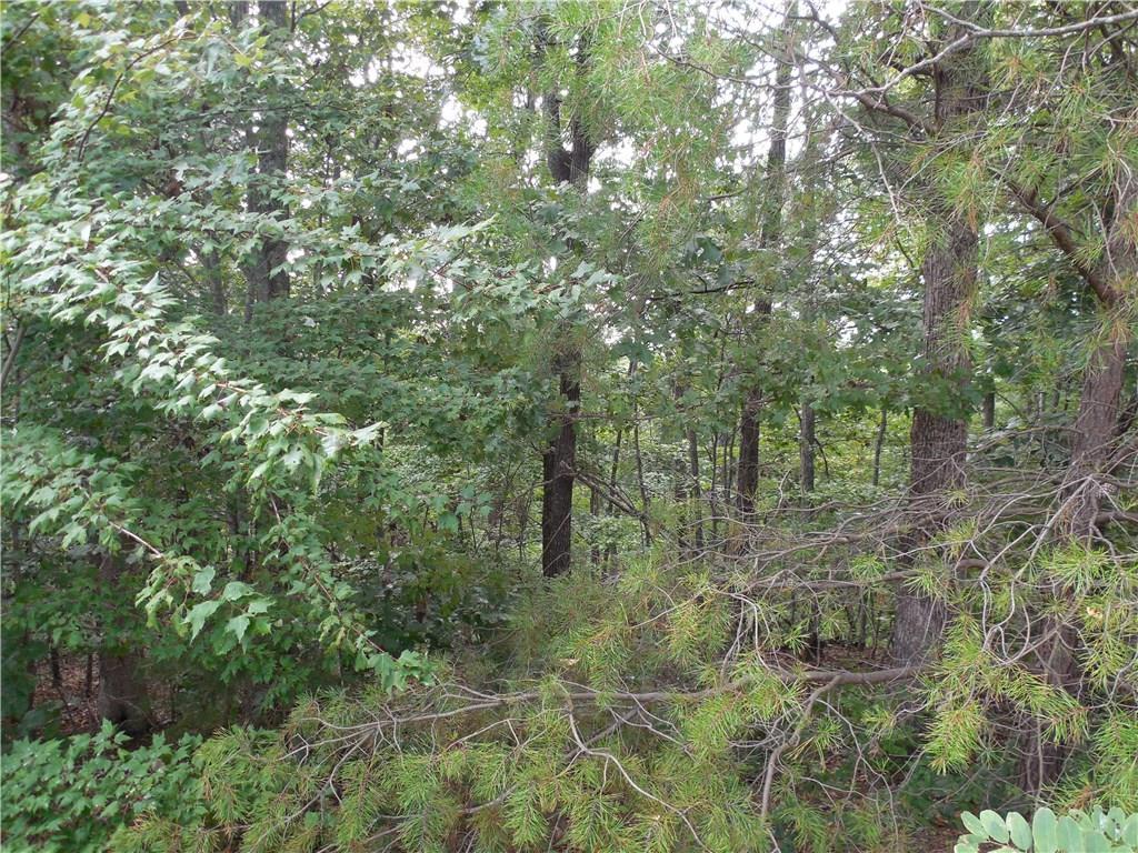 4.5 ac Outback Road - Photo 1
