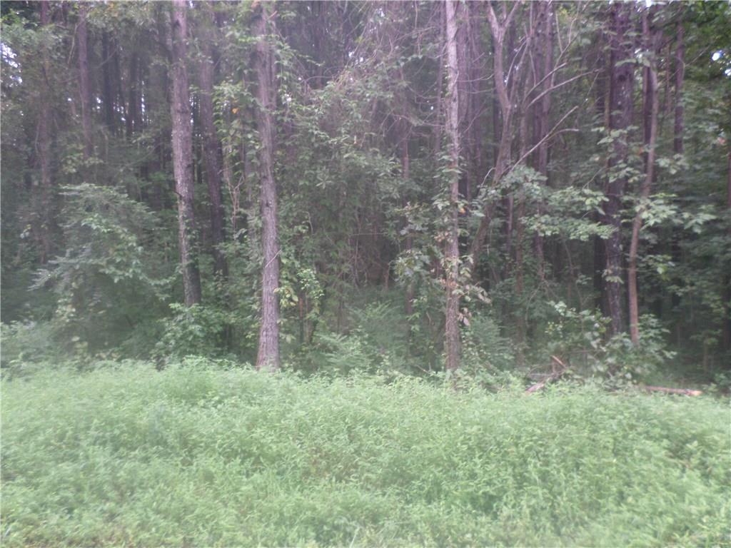 000 Eberhart Drive - Photo 1