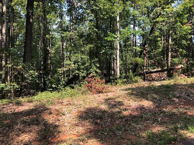 0 Jarrett Lane - Photo 1