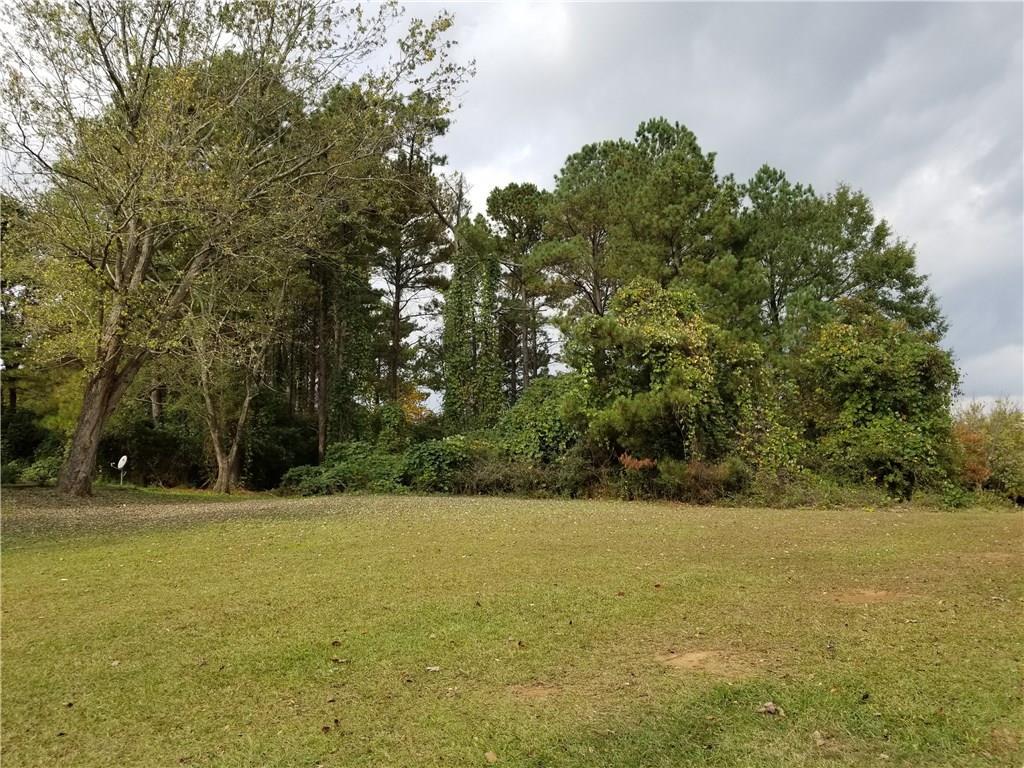 949 Steeplechase Lane - Photo 1