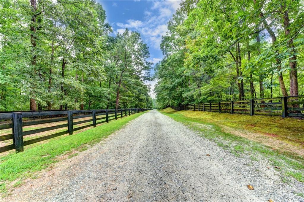 18126 Birmingham Highway - Photo 1