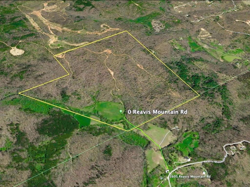0 Reavis Mountain Road - Photo 1