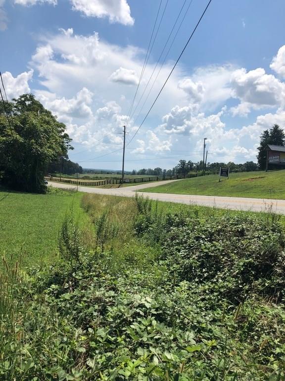 4385 Hickory Flat Hwy Highway - Photo 1