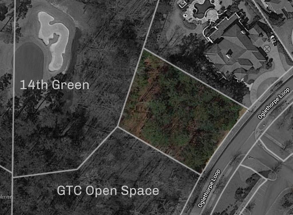 4305 Oglethorpe Loop - Photo 1
