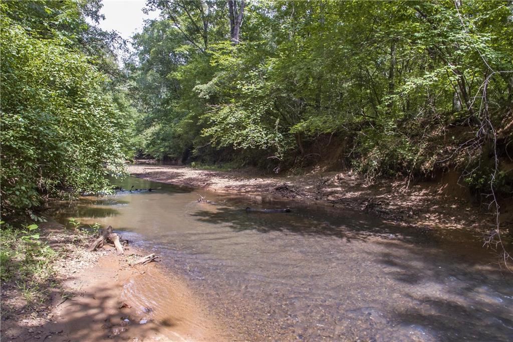 Lot 6 Lamar Cooper Road - Photo 1