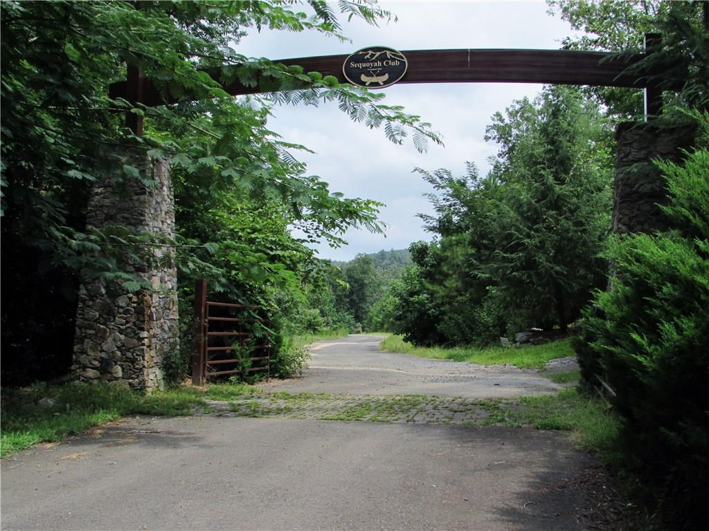 Tr 1 Hidden Falls Lane - Photo 1