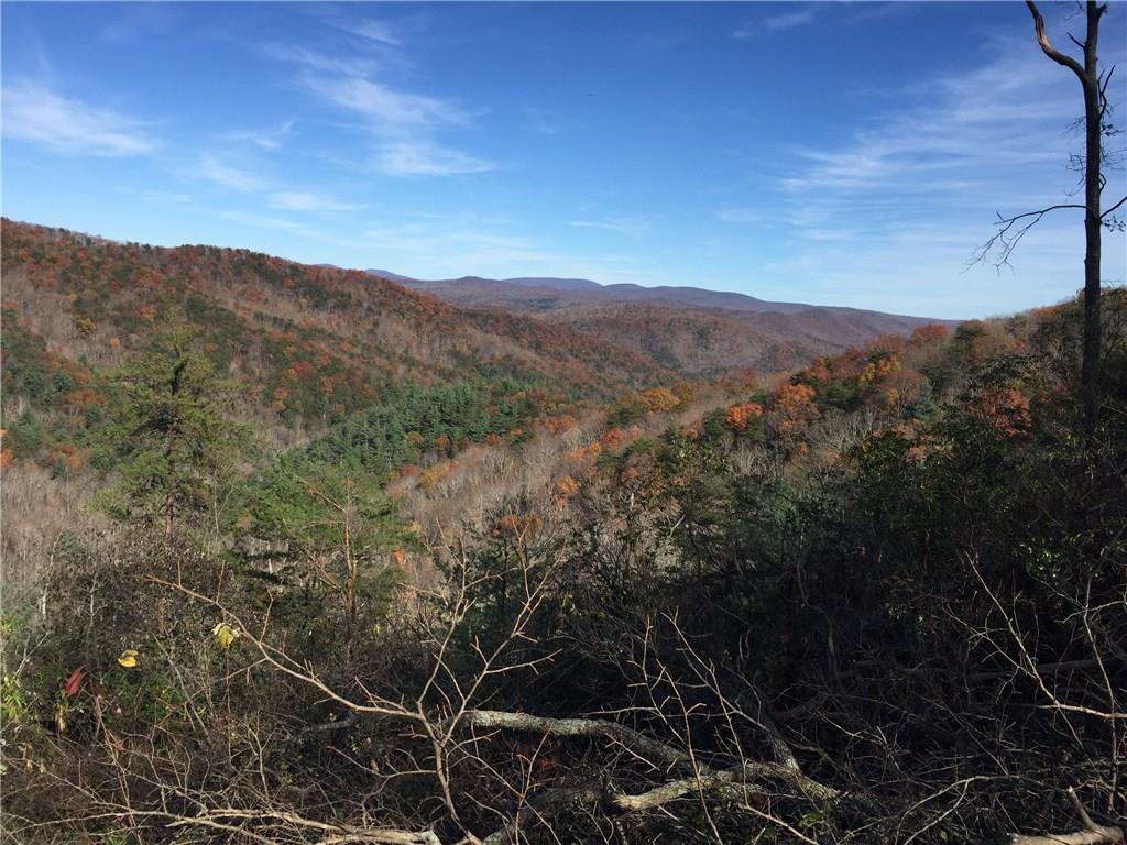 0 Laurel Branch - Photo 1