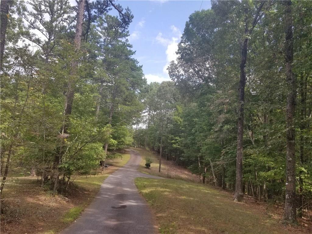 437 Crabapple Road - Photo 1