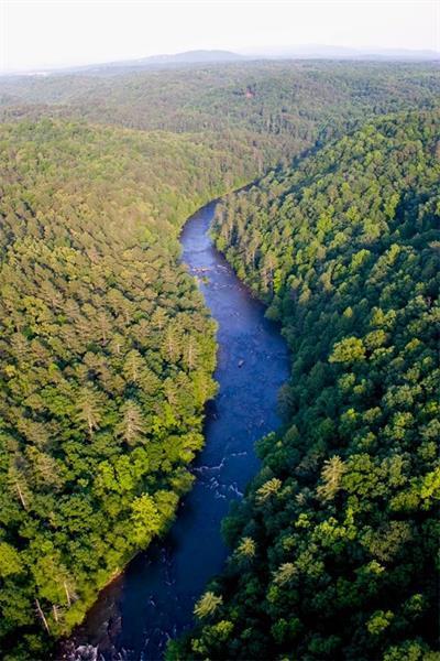 0 Ellijay - Photo 1