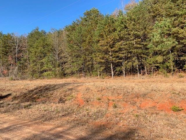 9389 Homeplace Road - Photo 1