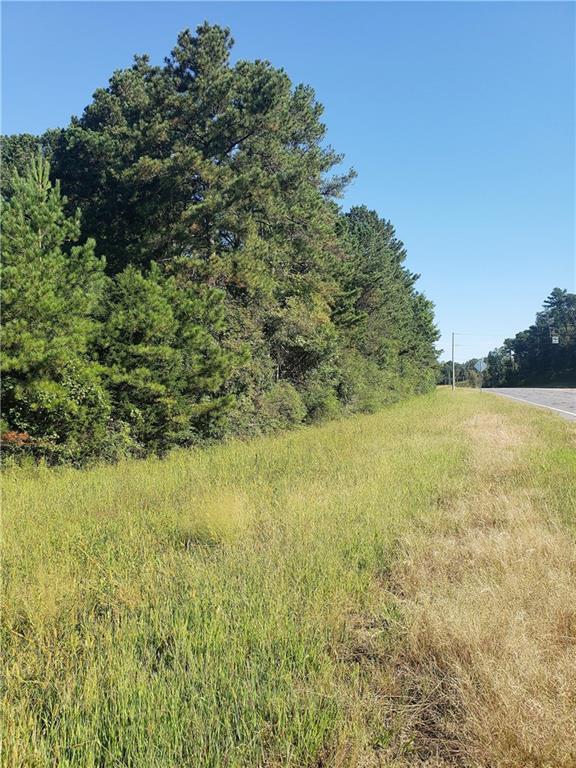 Lot 3 Hwy 53 Spur - Photo 1
