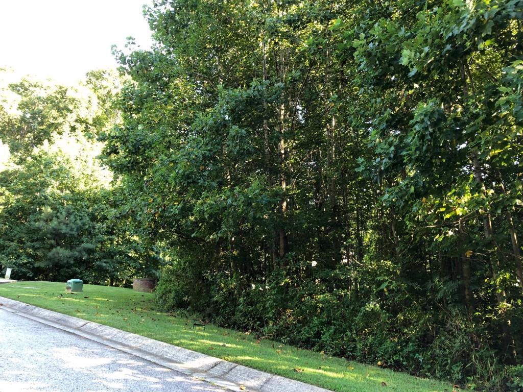 102 Creek View Road - Photo 1
