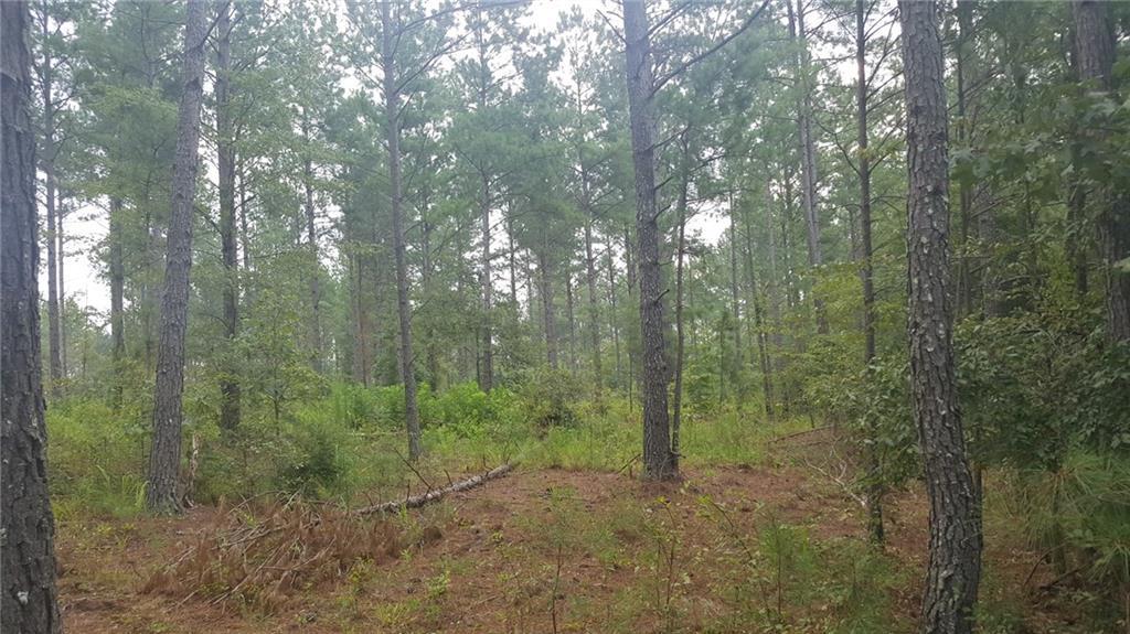 07 Sandy Creek Road - Photo 1