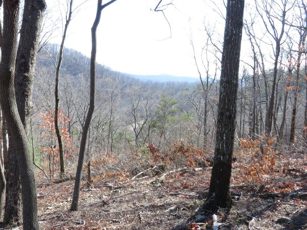 273 Andes Ridge Road - Photo 1
