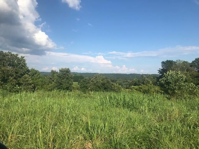 9360 Callus Mill Road - Photo 1