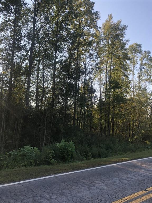 4343 Three Bridges Road - Photo 1
