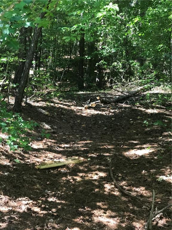TBD Pumpkinvine Road - Photo 1